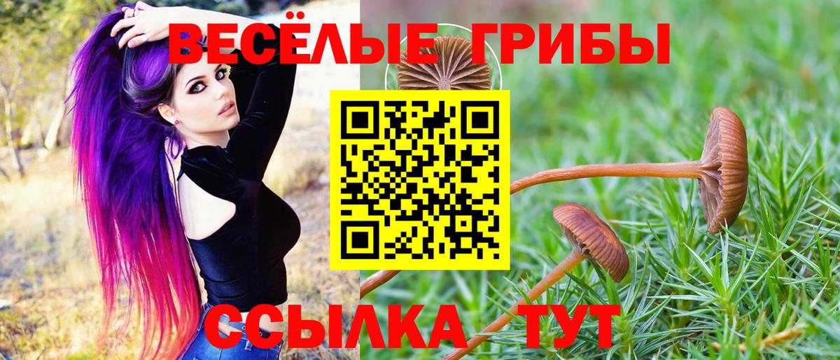 Галлюциногенные грибы Magic Shrooms  купить   Печора  Вход с VPN 